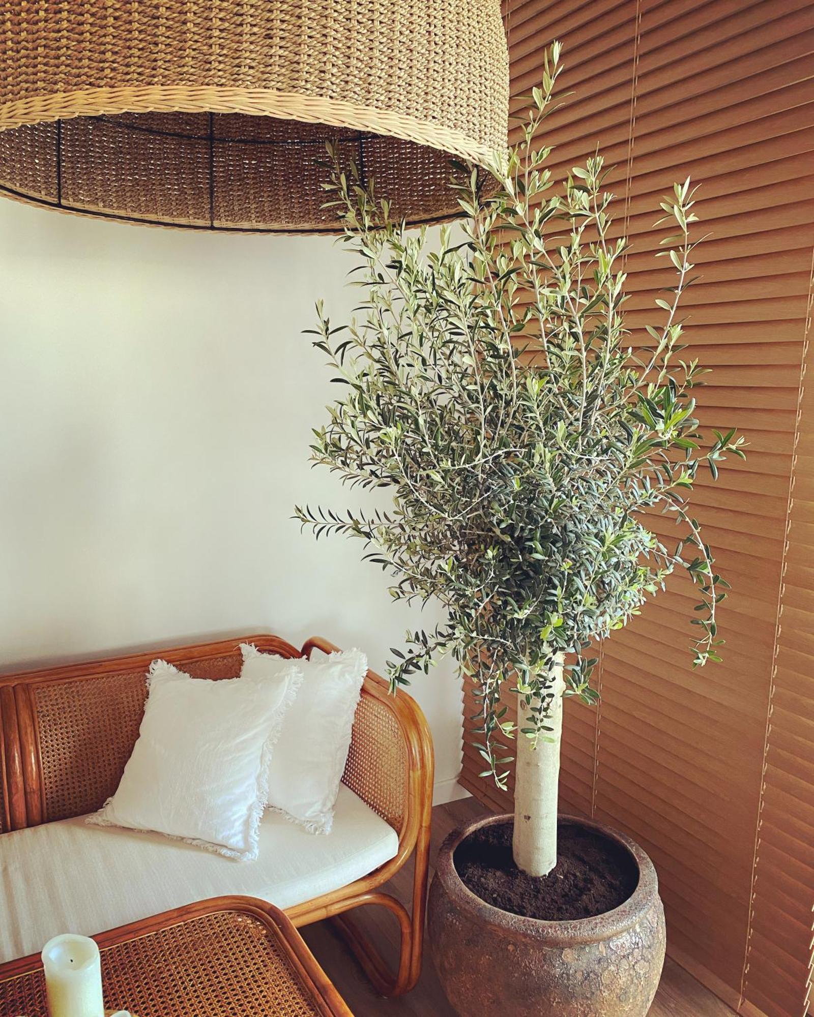 Boho Butikowe Apartamenty Jastrzębia Góra Extérieur photo